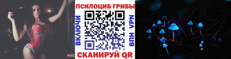 Купить  Верещагино  Галлюциногенные грибы GOLDEN TEACHER 
